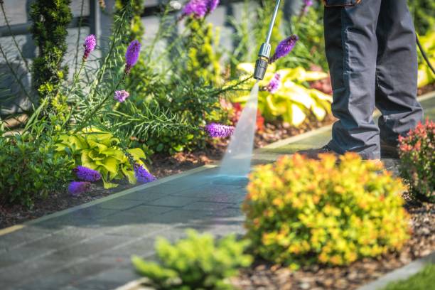 Best Dumpster Area Cleaning  in Simi Valley, CA
