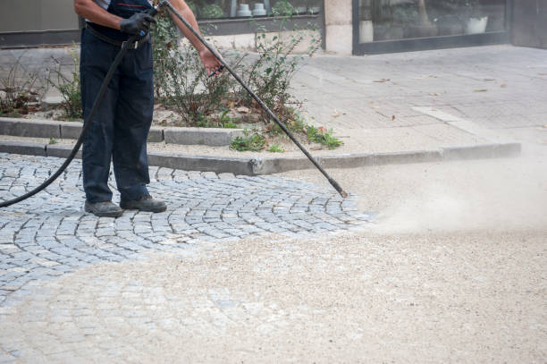 Best Animal Enclosure Cleaning  in Simi Valley, CA